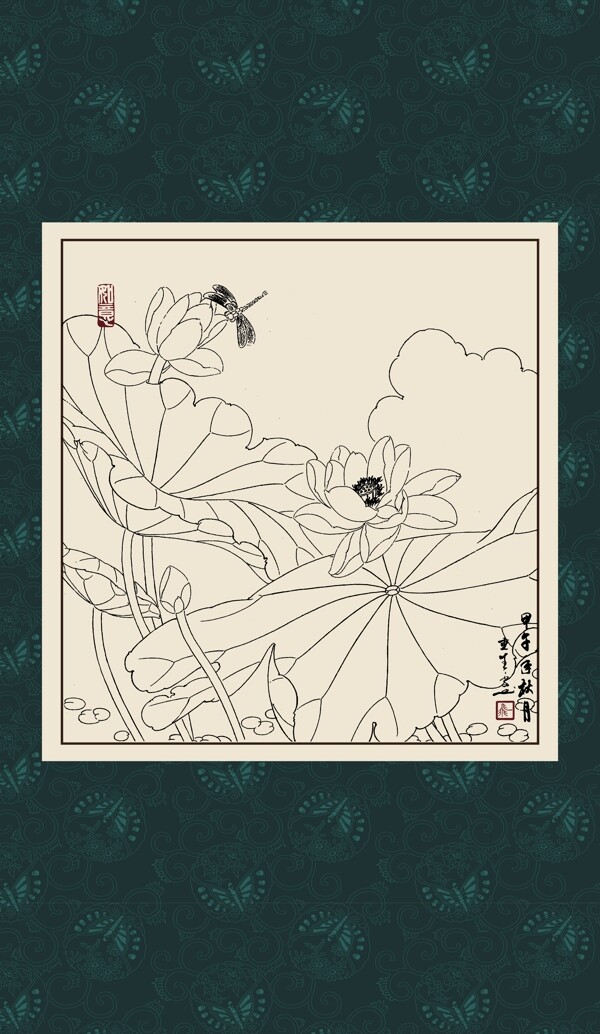 白描荷花圖片