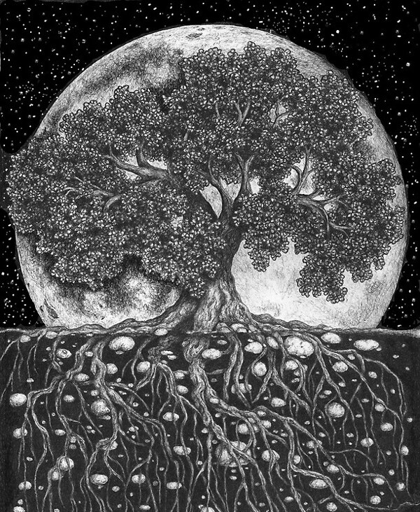 非矢量插画植物树几何免费素材