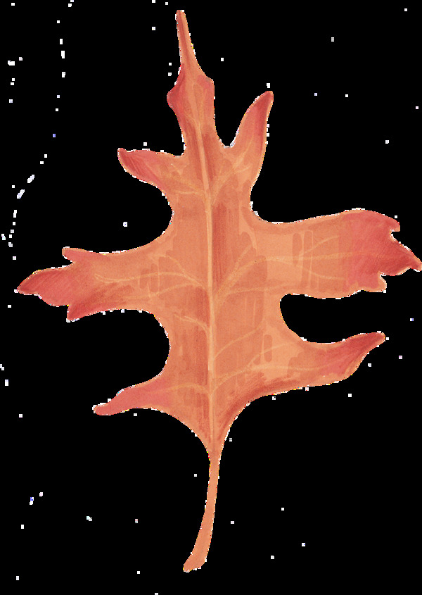 手绘秋天的枯叶png透明素材