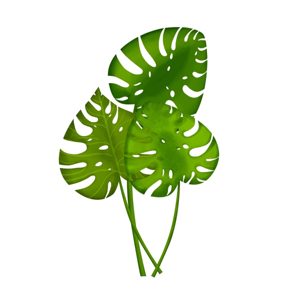 绿色植物龟背叶文艺清新手绘肌理元素