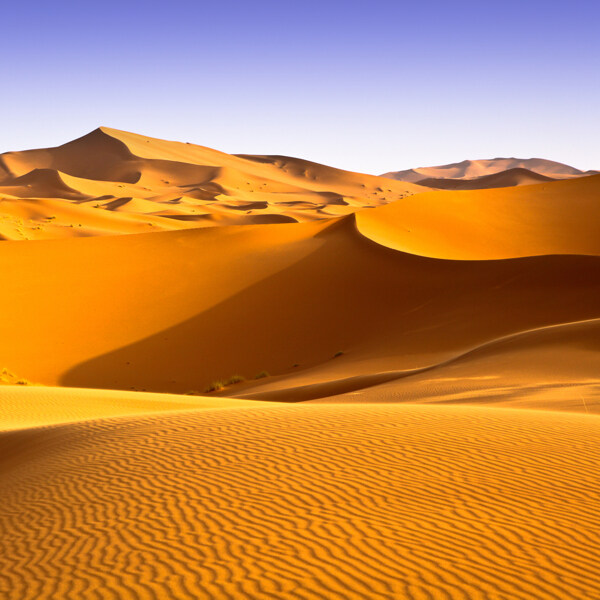 沙漠沙丘风景