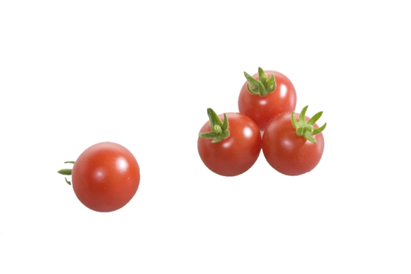 多个番茄素材