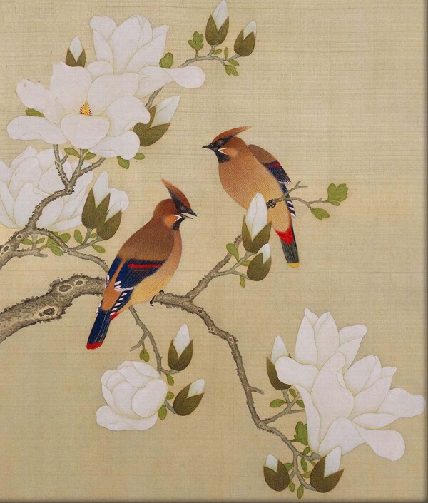 唯美工筆花鳥圖片