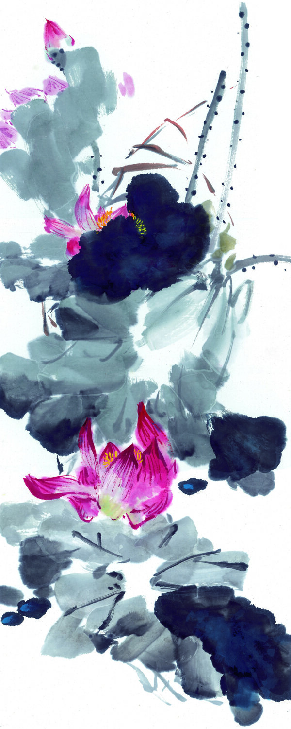 荷花藏蕊