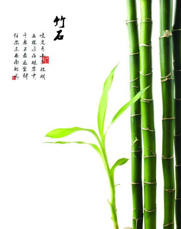 竹石