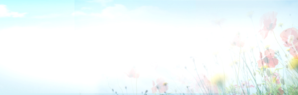 女裝專用創(chuàng)意banner設計