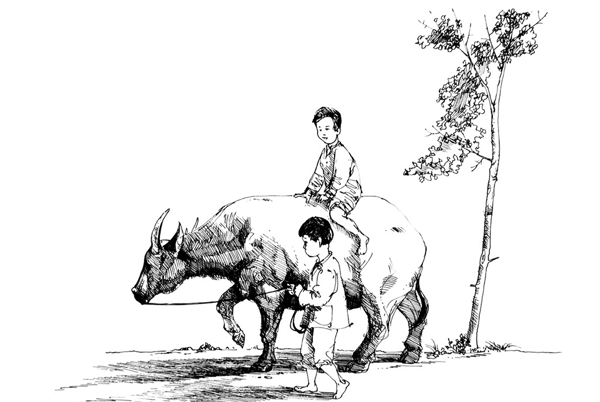 素描牧童圖片