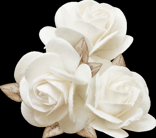 三朵白色玫瑰png元素素材