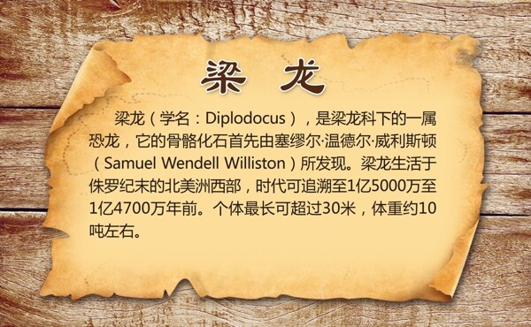 恐龍導(dǎo)視牌圖片