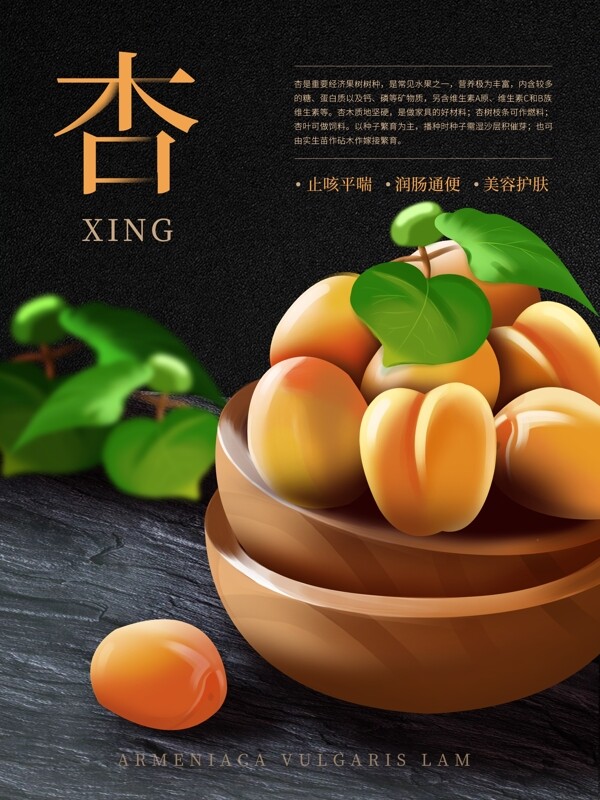 原創(chuàng)插畫杏子美食水果海報