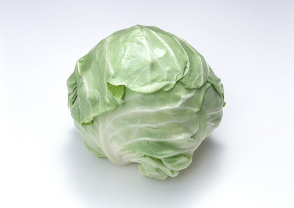 包菜圖片