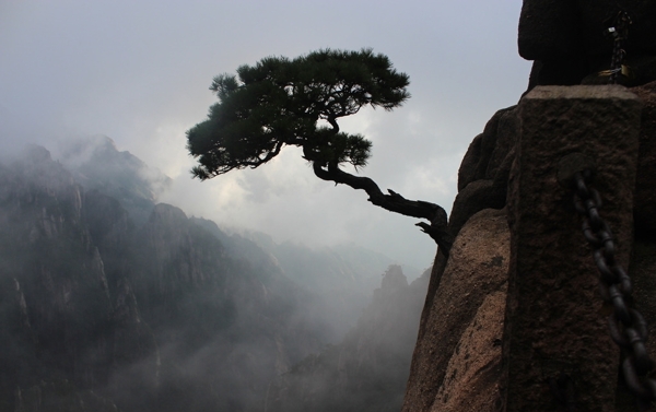 黃山風(fēng)光圖片