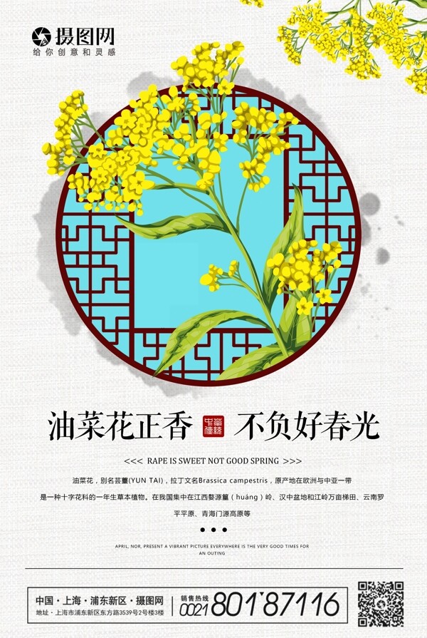 春季旅行油菜花海报