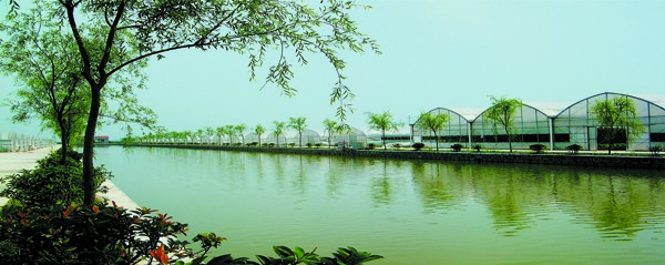 生態(tài)圖片