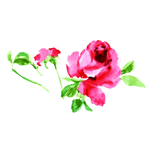 位圖植物寫(xiě)意花卉花朵玫瑰免費(fèi)素材