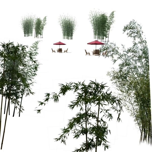 竹子素材