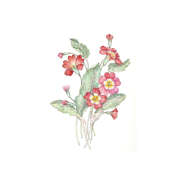 非矢量PSD寫意花卉免費(fèi)素材