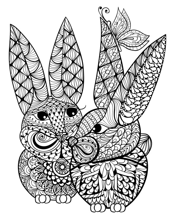 两只可爱的花纹兔子插画