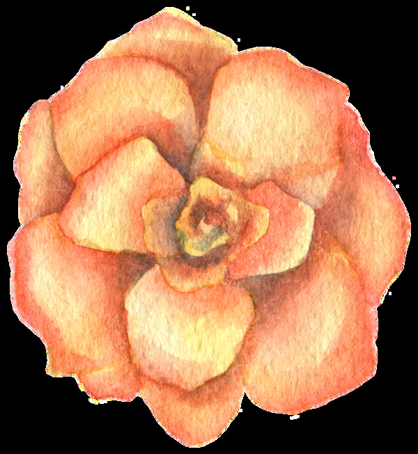 橙黄花蕊透明装饰素材