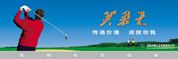 芙蓉王圖片