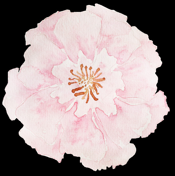 粉色浪漫花卉卡通透明素材