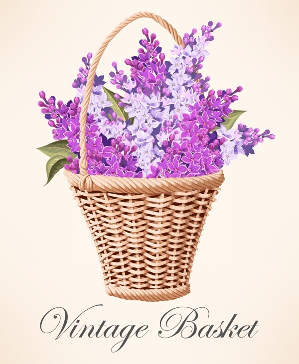 装满紫丁香的花篮矢量素材