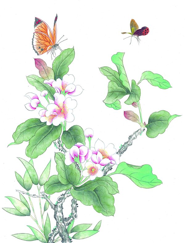 花卉蝴蝶裝飾畫圖片