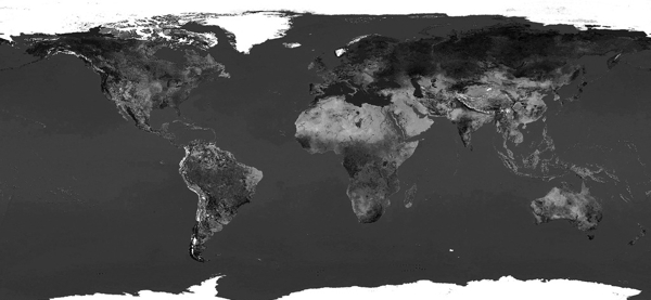 地球展开图黑白图片