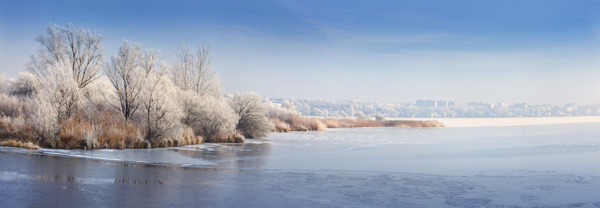 冬天树木湖泊美景图片