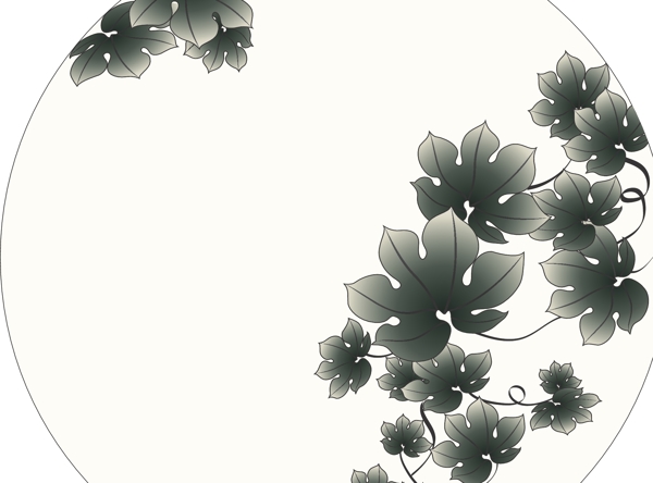 綠藤圖片