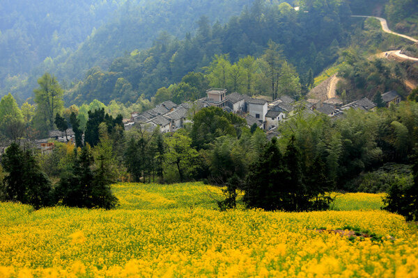 石潭村圖片