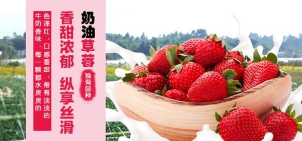 草莓