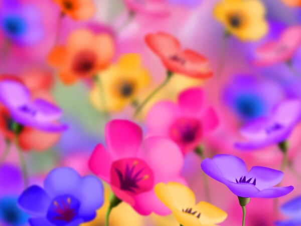 溫馨花朵