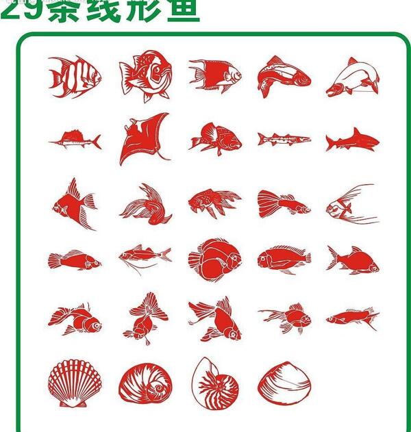 29条线形鱼图片