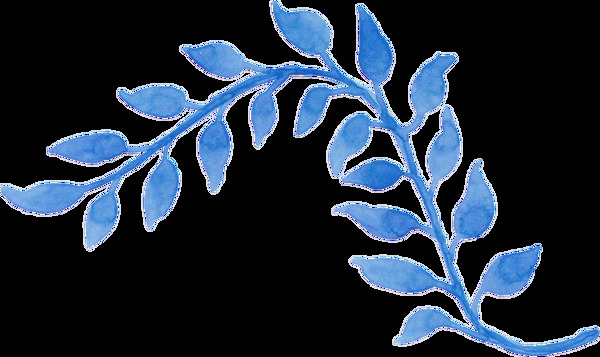 水藍(lán)花葉卡通透明素材