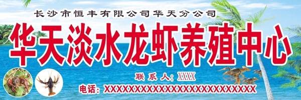 华天淡水龙虾养殖中心图片