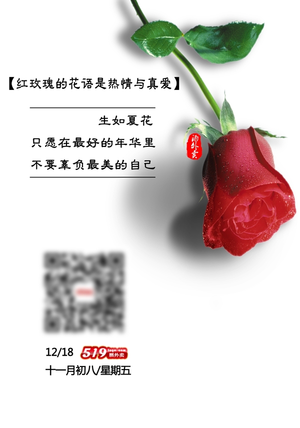 玫瑰花語