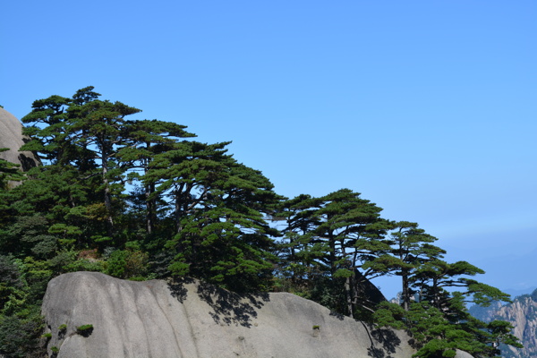 黃山風(fēng)光圖片