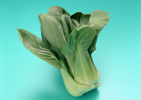 青菜圖片