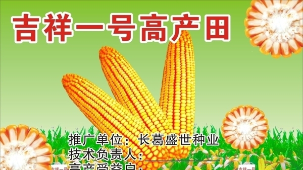 吉祥一號高產(chǎn)田圖片