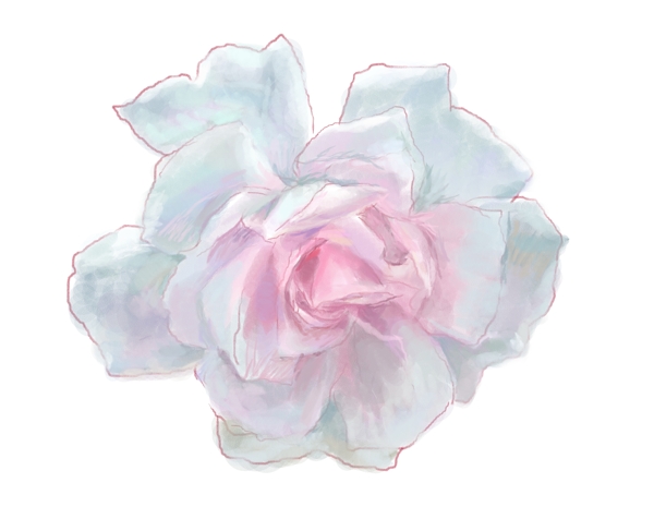 數(shù)碼印花圖案