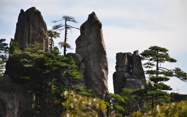 黃山圖片
