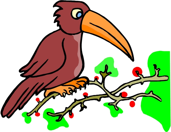 鳥類漫畫