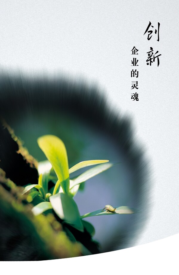 企業(yè)文化圖片