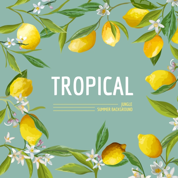 柠檬热带风情卡片设计矢量背景