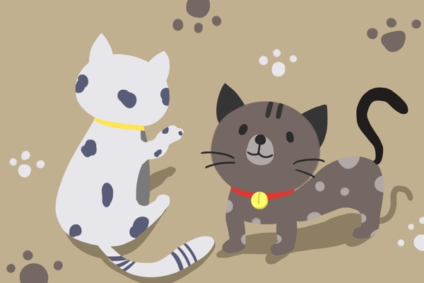 玩耍的两只灰猫和白猫图片