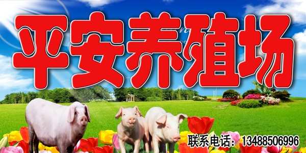 平安養(yǎng)殖場圖片
