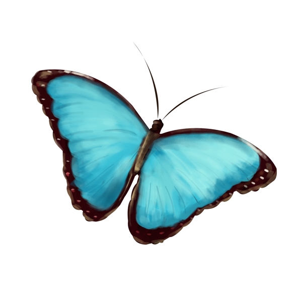 蓝色的唯美蝴蝶插画