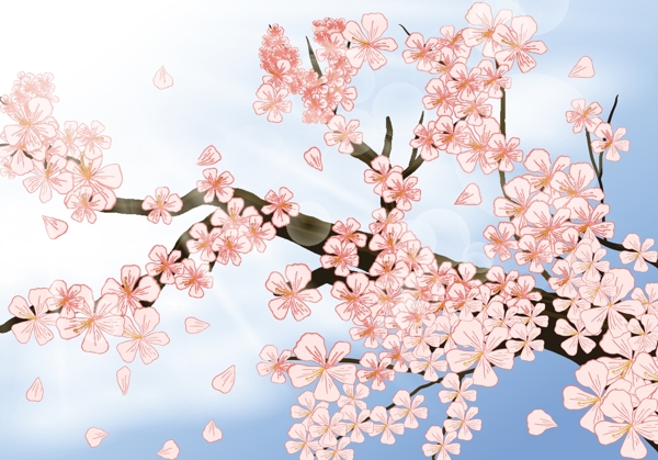 唯美手繪櫻花插畫