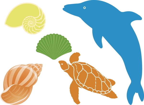 海洋生物圖片